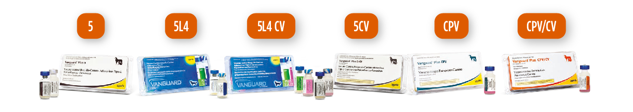 Vaccino Vanguard Plus 7: Vanguard Plus 7 Strain Nadl – HJDQC