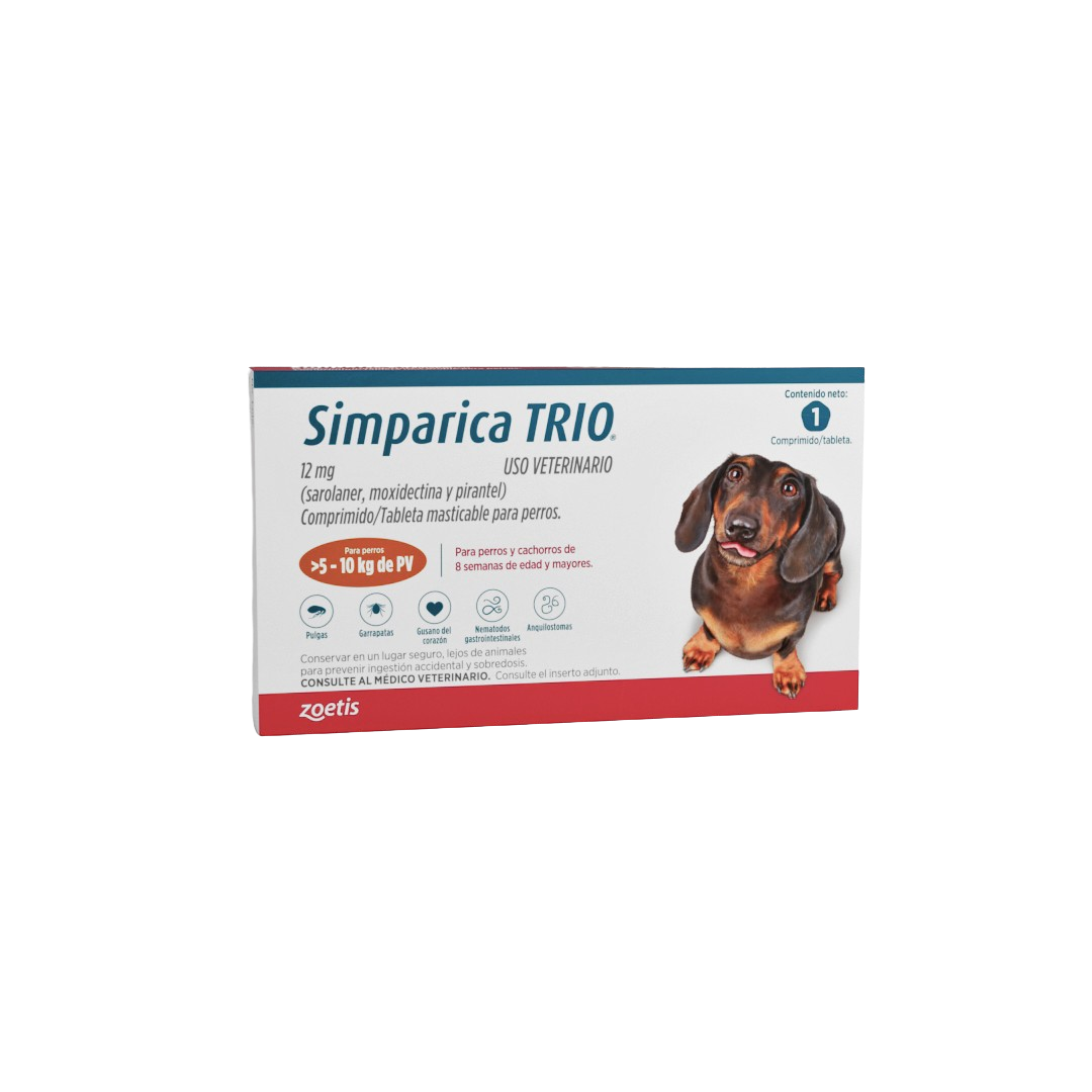 Bravecto - perro, image size:1080x1080